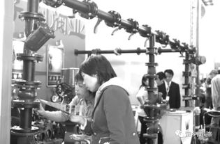 都來看看 龐各莊這些年的產業提升有多強