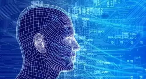 全球視野 六項熱門與四項趨冷的企業級技術應用網絡服務盤點